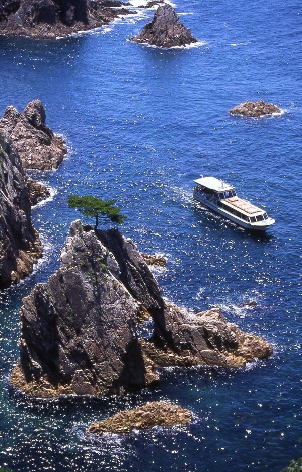 【兵庫県内発】 日本海鳥取海宝丼「モサエビ・白いか・境港サーモン」と 桜咲く!「鳥取城跡」&世界ジオパーク「浦富海岸」クルーズ 日帰り1